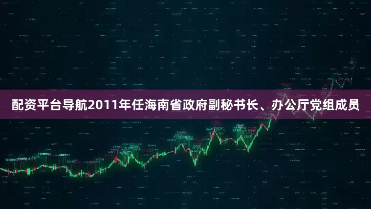 配资平台导航2011年任海南省政府副秘书长、办公厅党组成员
