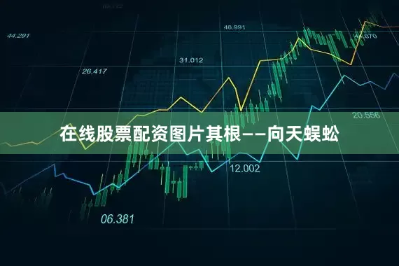 在线股票配资图片其根——向天蜈蚣