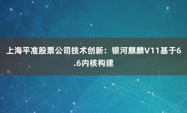 上海平准股票公司技术创新：银河麒麟V11基于6.6内核构建