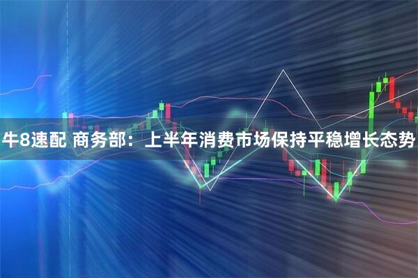 牛8速配 商务部:上半年消费市场保持平稳增长态势
