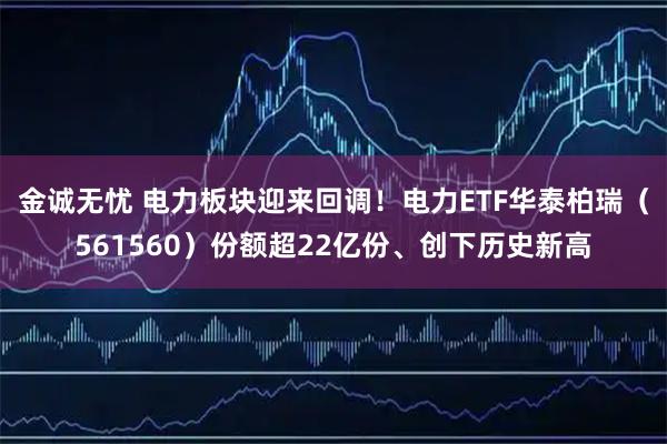 金诚无忧 电力板块迎来回调！电力ETF华泰柏瑞（561560）份额超22亿份、创下历史新高