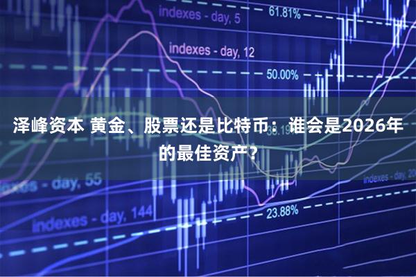 泽峰资本 黄金、股票还是比特币：谁会是2026年的最佳资产？