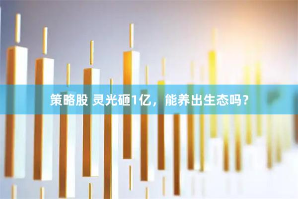 策略股 灵光砸1亿，能养出生态吗？