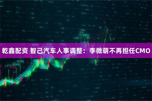 乾鑫配资 智己汽车人事调整：李微萌不再担任CMO