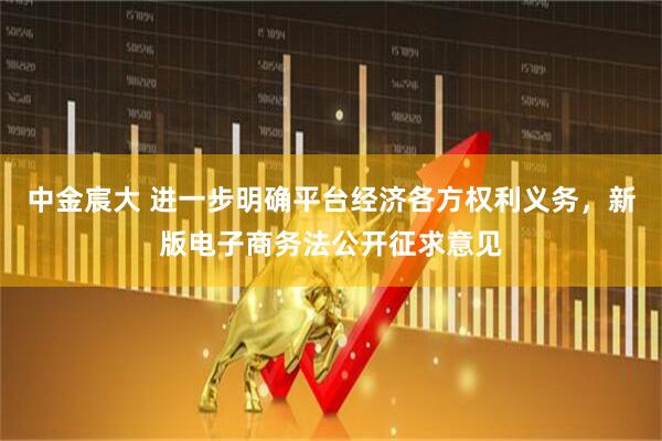中金宸大 进一步明确平台经济各方权利义务，新版电子商务法公开征求意见